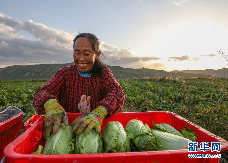 （新華全媒頭條·決戰(zhàn)決勝脫貧攻堅·督戰(zhàn)未摘帽貧困縣·圖文互動）（1）不獲全勝，決不收兵——全國52個掛牌督戰(zhàn)貧困縣脫貧攻堅紀(jì)實(shí)