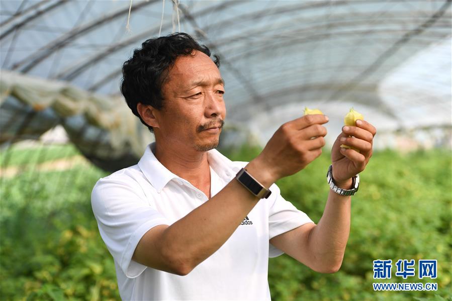 （新華全媒頭條·走向我們的小康生活·圖文互動）（7）黑土地上是我家——在吉林，一瞥中國東北鄉(xiāng)村美麗未來