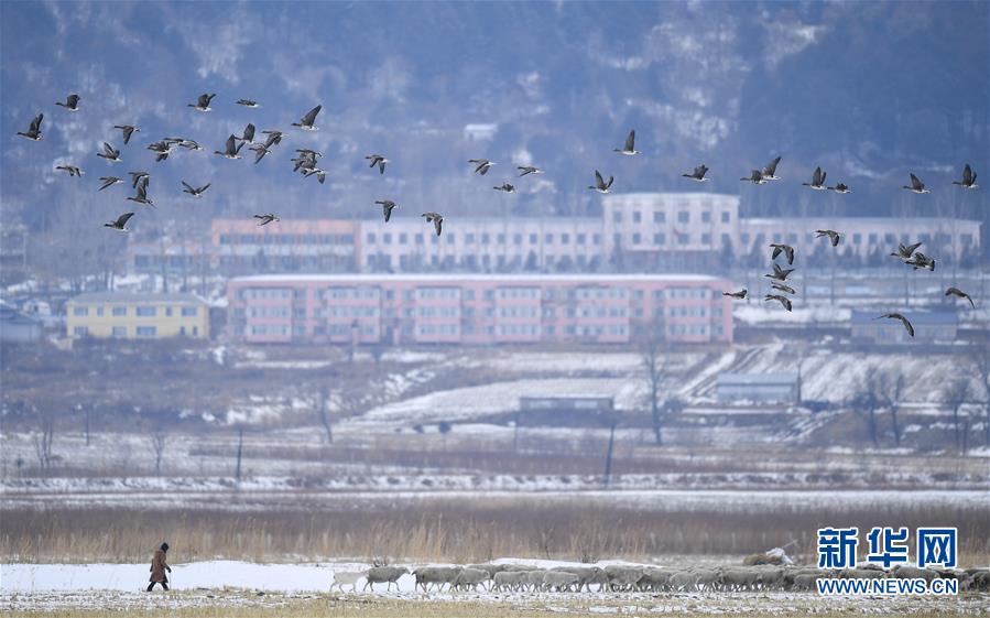 （新華全媒頭條·走向我們的小康生活·圖文互動）（14）黑土地上是我家——在吉林，一瞥中國東北鄉(xiāng)村美麗未來