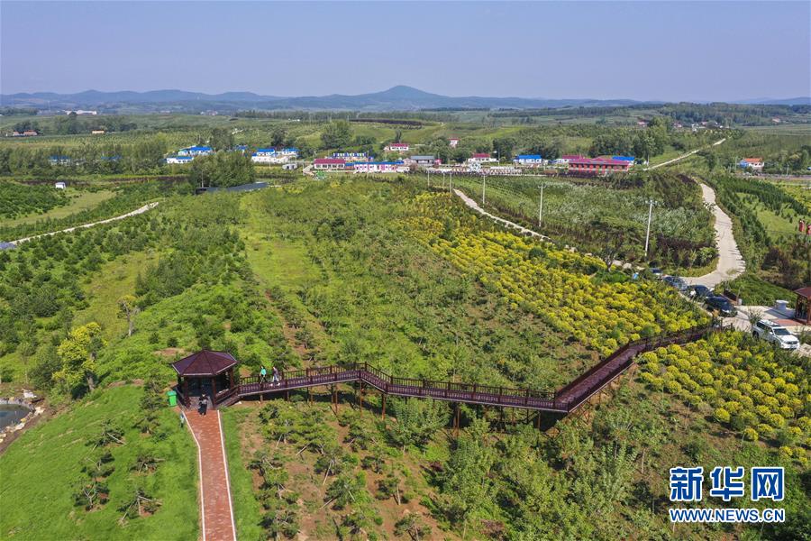 （新華全媒頭條·走向我們的小康生活·圖文互動）（16）黑土地上是我家——在吉林，一瞥中國東北鄉(xiāng)村美麗未來