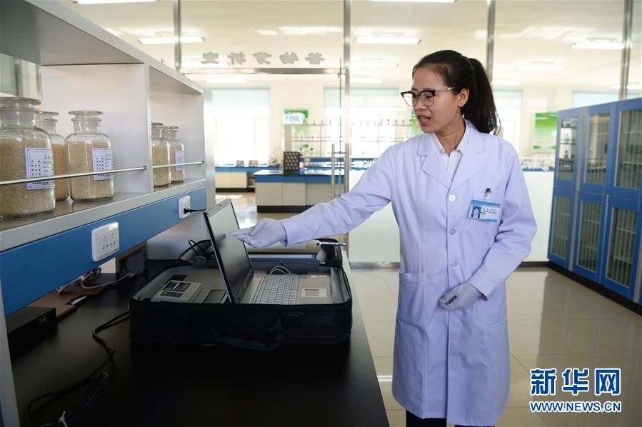 （新華全媒頭條&middot;圖文互動(dòng)）（6）奮力書寫東北振興的時(shí)代新篇&mdash;&mdash;習(xí)近平總書記調(diào)研東北三省并主持召開(kāi)深入推進(jìn)東北振興座談會(huì)紀(jì)實(shí)