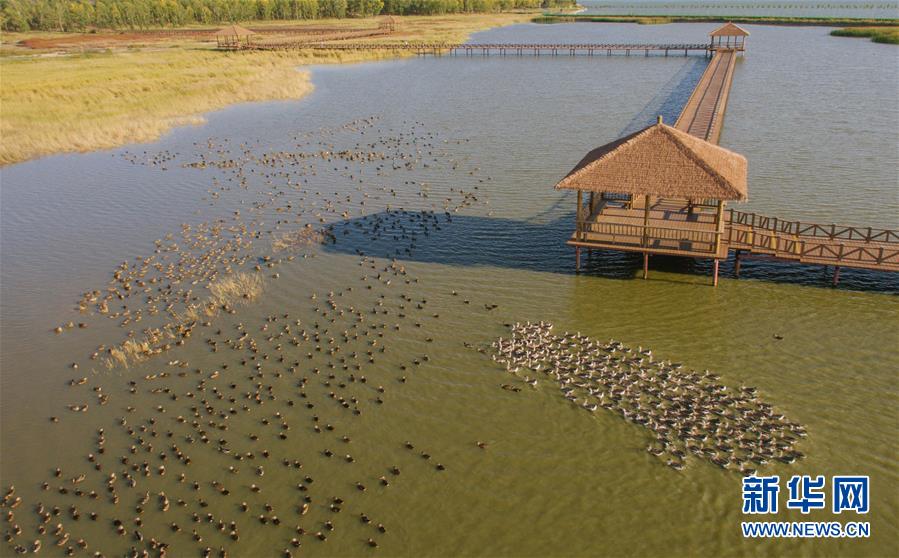 （新華全媒頭條&middot;圖文互動(dòng)）（9）奮力書寫東北振興的時(shí)代新篇&mdash;&mdash;習(xí)近平總書記調(diào)研東北三省并主持召開(kāi)深入推進(jìn)東北振興座談會(huì)紀(jì)實(shí)