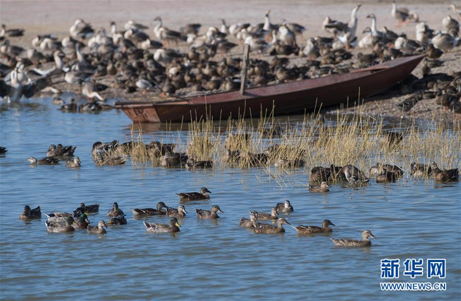 （新華全媒頭條&middot;圖文互動(dòng)）（10）奮力書寫東北振興的時(shí)代新篇&mdash;&mdash;習(xí)近平總書記調(diào)研東北三省并主持召開(kāi)深入推進(jìn)東北振興座談會(huì)紀(jì)實(shí)