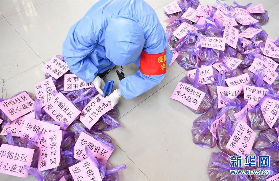 （習近平致敬的戰(zhàn)“疫”英雄·志愿者篇·圖文互動）（11）他們，微光成炬照征程