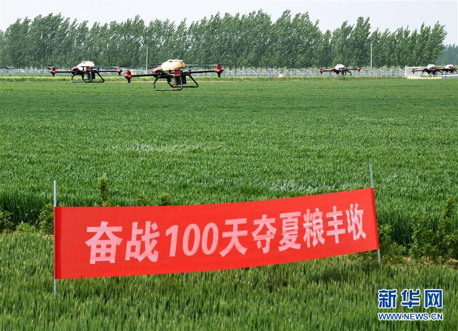 （在習(xí)近平新時(shí)代中國特色社會(huì)主義思想指引下——新時(shí)代新作為新篇章·習(xí)近平總書記關(guān)切事·圖文互動(dòng)）（9）新農(nóng)事、新希望——夏收前田間新動(dòng)態(tài)掃描