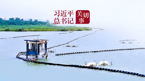 生態(tài)守護(hù)亮“新”技