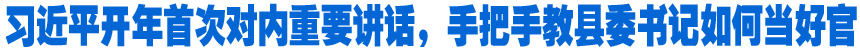 習(xí)近平開年首次對內(nèi)重要講話，手把手教縣委書記如何當(dāng)好官