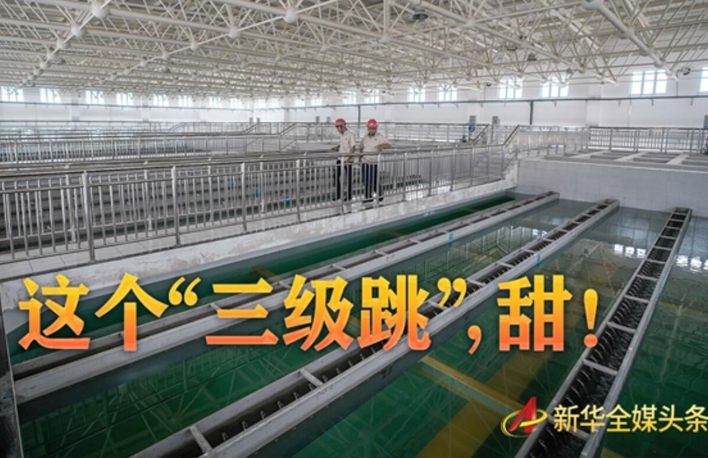 這個&ldquo;三級跳&rdquo;，甜！