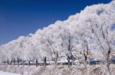 全國(guó)初雪時(shí)間表出爐 看看你離初雪還有多遠(yuǎn)？