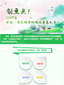 劃重點(diǎn)！2019年中央一號(hào)文件中的硬任務(wù)怎么干