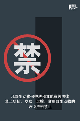 向非法野生動(dòng)物交易、濫食野生動(dòng)物陋習(xí)亮劍