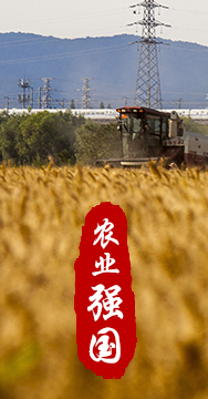 農(nóng)業(yè)強(qiáng)國是社會主義現(xiàn)代化強(qiáng)國的根基。
