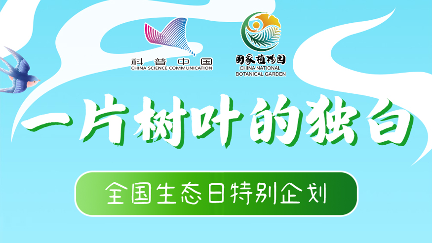 全國生態(tài)日丨一片樹葉的獨白