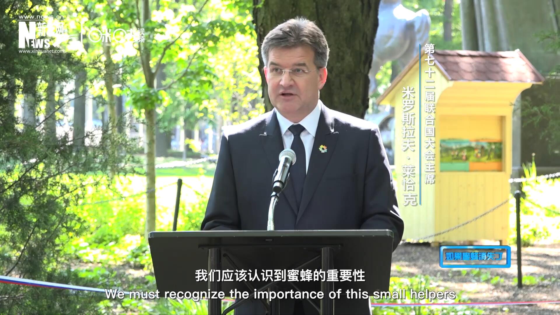 我們應(yīng)該認(rèn)識到蜜蜂的重要性，所以我們用“世界蜜蜂日”提高大家保護(hù)蜜蜂的意識，并且用實際行動去保護(hù)蜜蜂