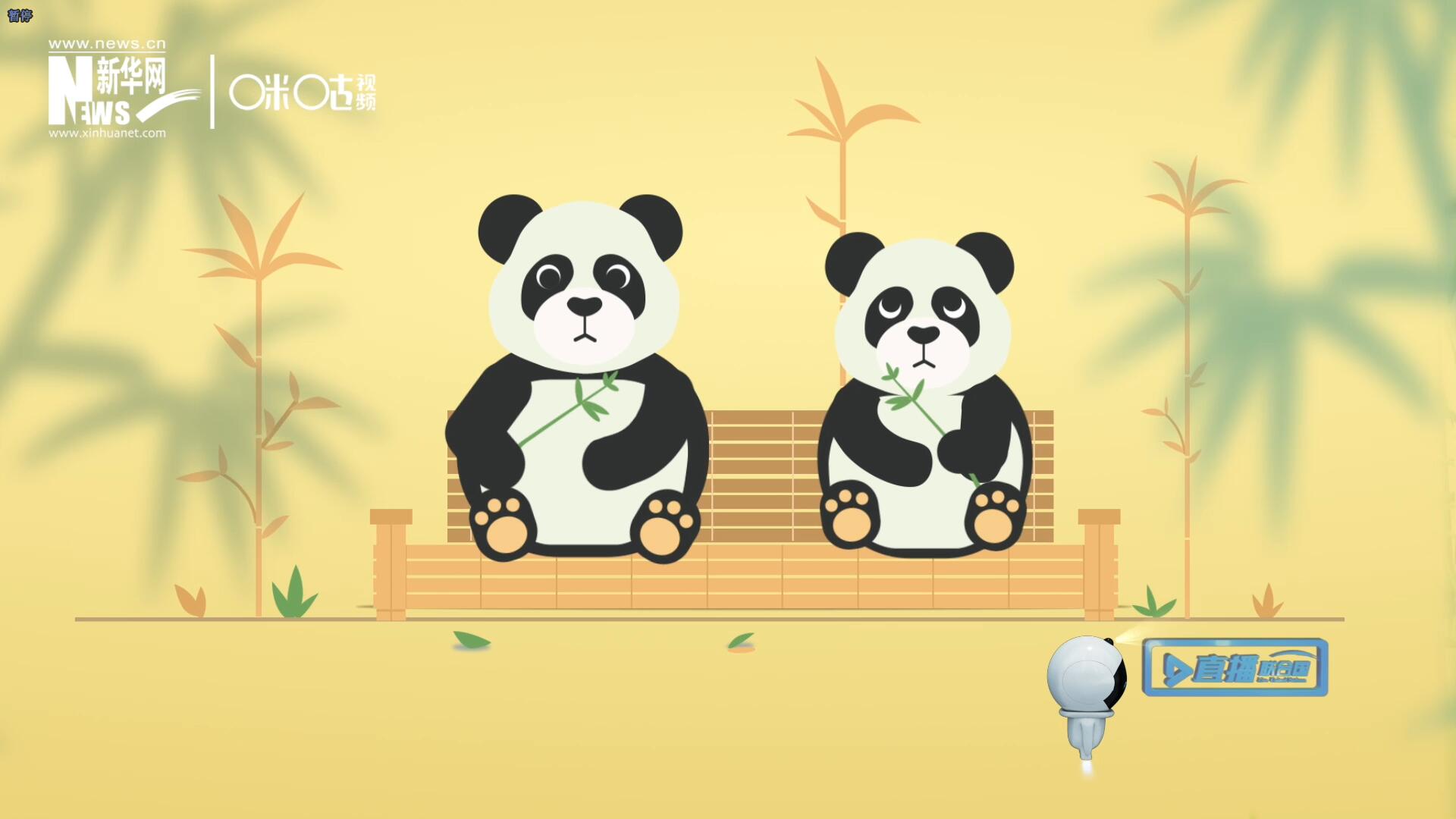 “哥哥你看，又有人來(lái)看我們了。”“有什么奇怪的，我們可是聯(lián)合國(guó)‘最萌’的大使啊！”。