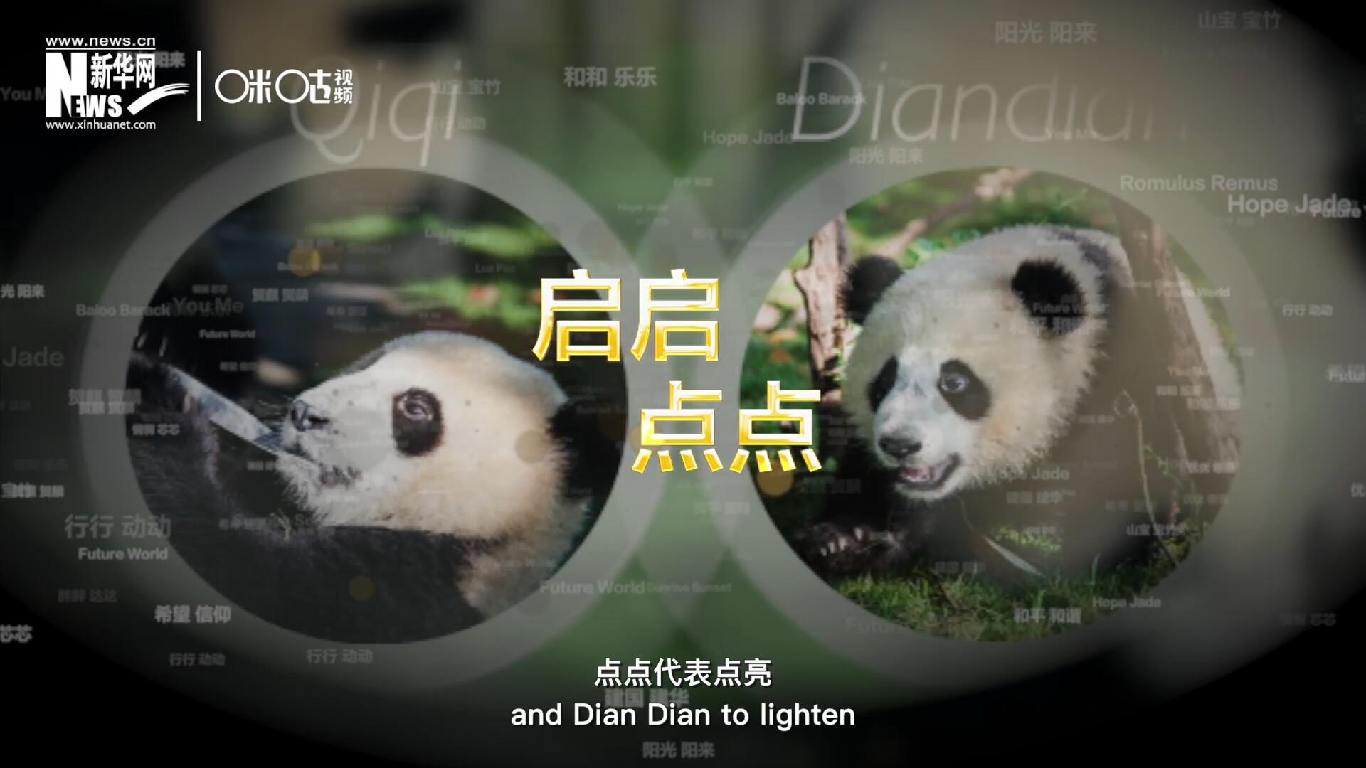 啟啟代表“啟發(fā)”，點(diǎn)點(diǎn)代表“點(diǎn)亮”，象征著2030年可持續(xù)發(fā)展議程 的“起點(diǎn)”，也象征著全球可持續(xù)發(fā)展路徑的新起點(diǎn)。
