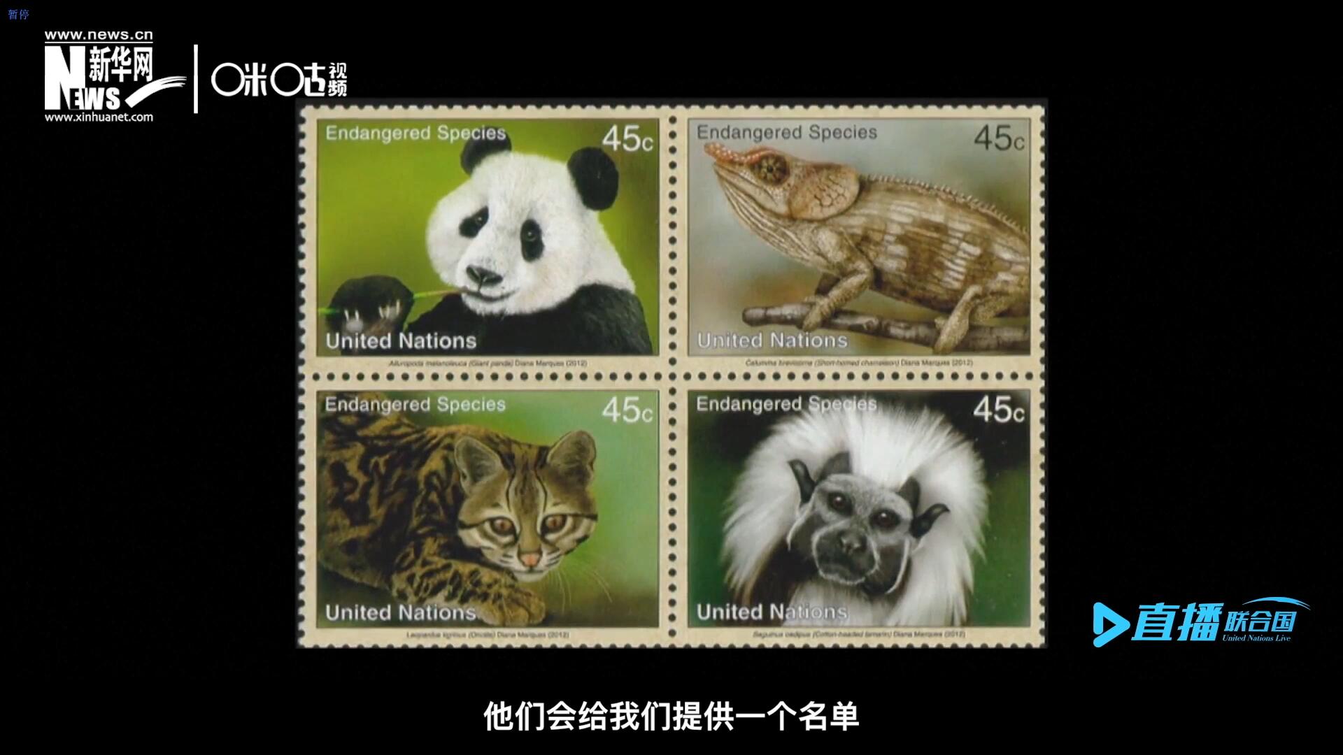 CITES（瀕危野生動植物種國際貿易公約）會給聯(lián)合國郵政設計師提供一個名單，雙方共同合作在附錄中找到名單中應該受到關注的動物。