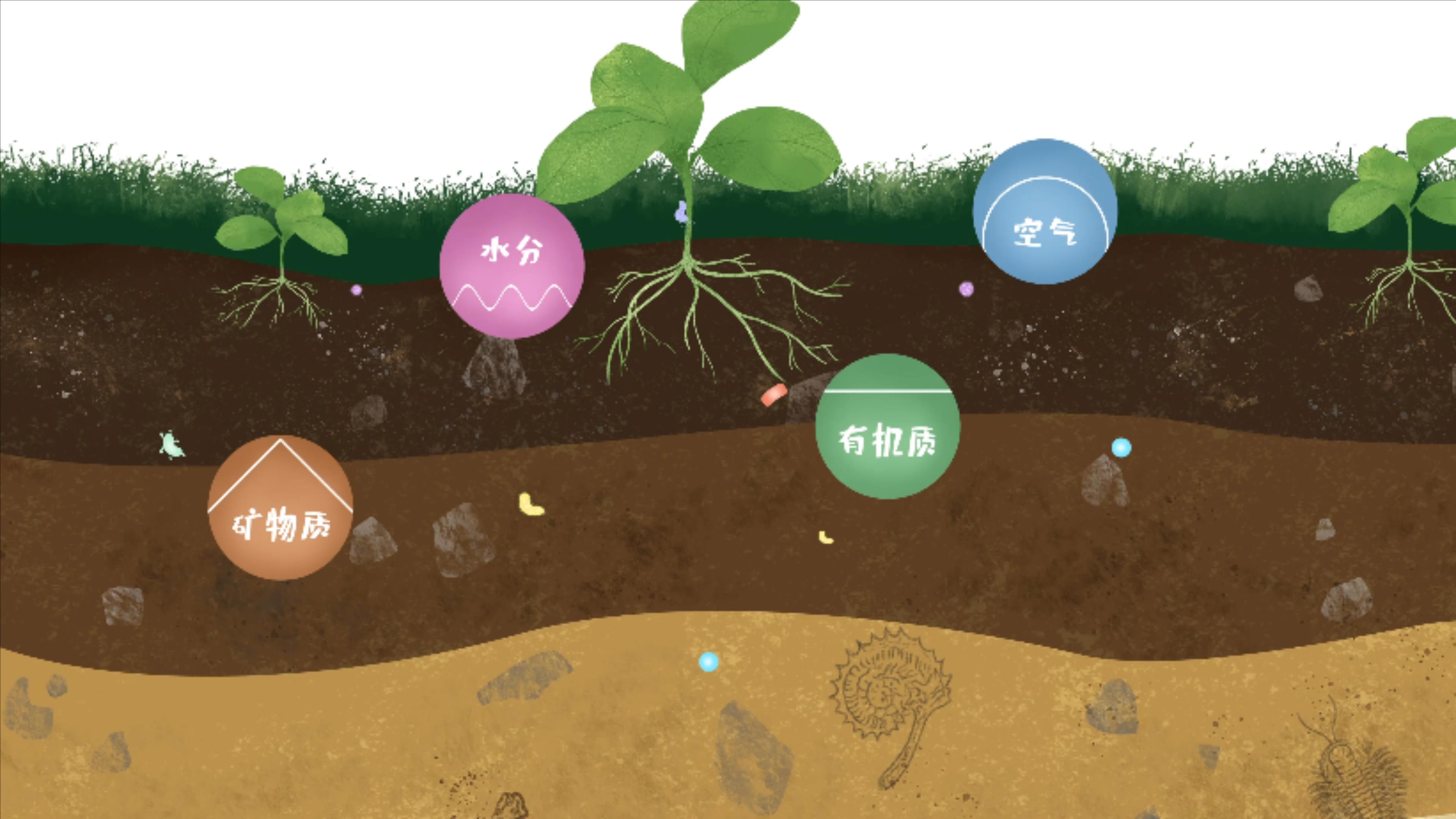 土壤由礦物質(zhì)、有機(jī)質(zhì)、水分、空氣及包括微生物在內(nèi)的生物體等組成