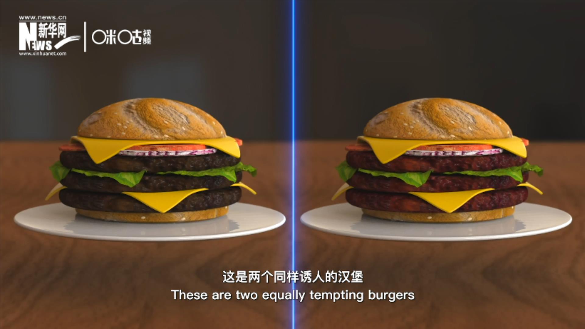 人造肉漢堡能在生產(chǎn)過程中節(jié)約水、土地、排放以及能量