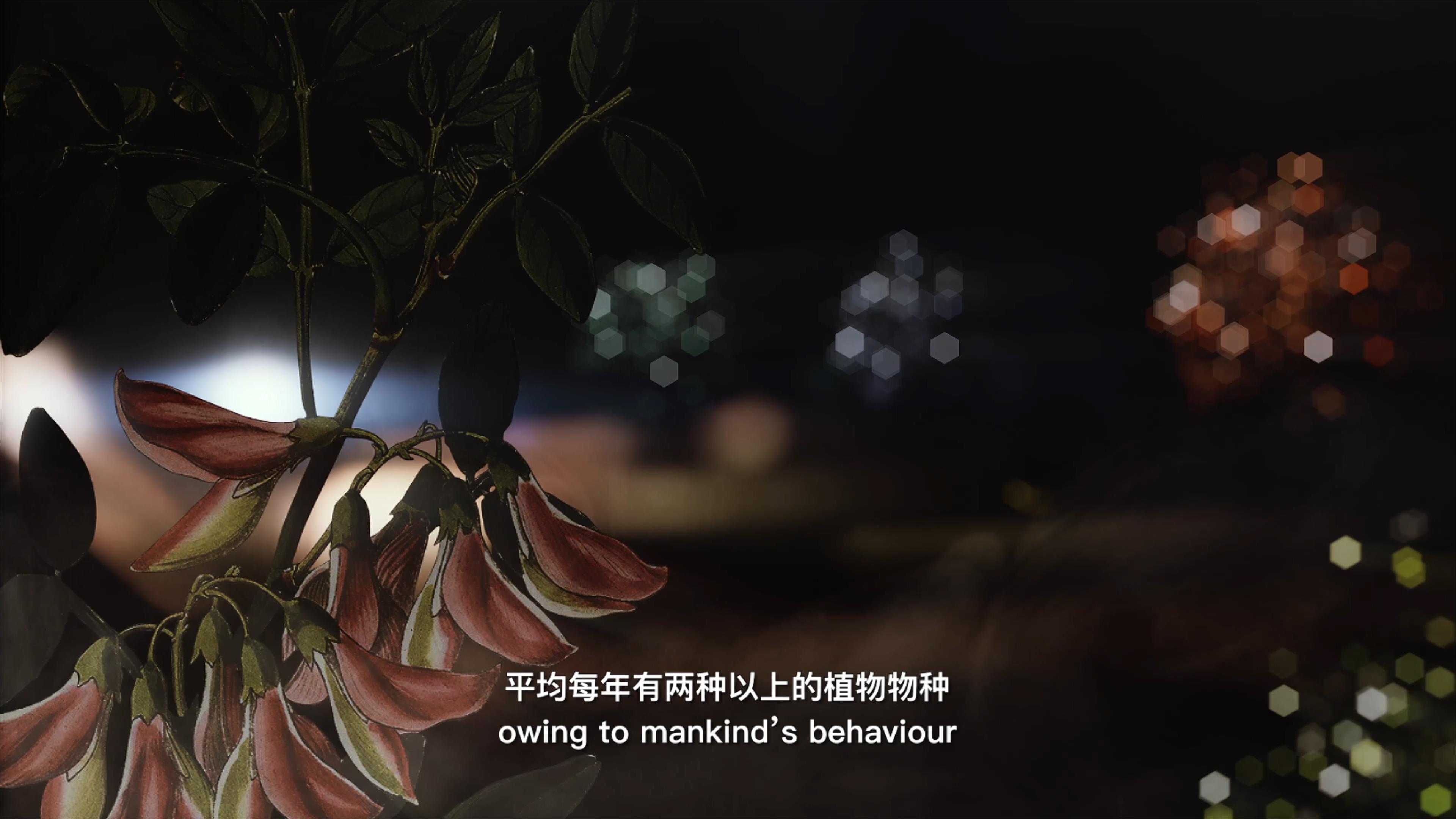 自18世紀(jì)中葉以來(lái)，許多植物物種因?yàn)槿祟?lèi)的原因而從地球上消失