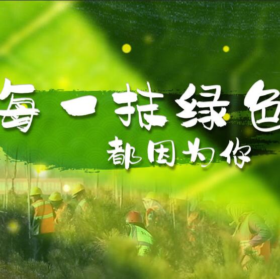 千年秀林，每一抹綠色都因?yàn)槟? /></a>       
<div   id=
