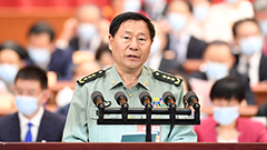 全國政協(xié)提案委員會(huì)副主任，中央軍委聯(lián)合參謀部原副參謀長 戚建國