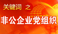 王京清：非公企業(yè)建立黨組織服務(wù)企業(yè)發(fā)展、服務(wù)員工