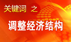 張平：轉(zhuǎn)變經(jīng)濟發(fā)展方式最重要的是要調(diào)整經(jīng)濟結構