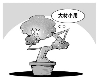 自認(rèn)“大材小用”，不如腳踏實(shí)地