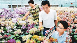 臺(tái)商眼中的改革開放：風(fēng)景這邊獨(dú)好 要去，要去，要去！