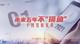 未來五年，不“摸魚”