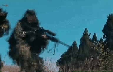 突入，擊斃！直擊武警特戰(zhàn)反劫持演練！