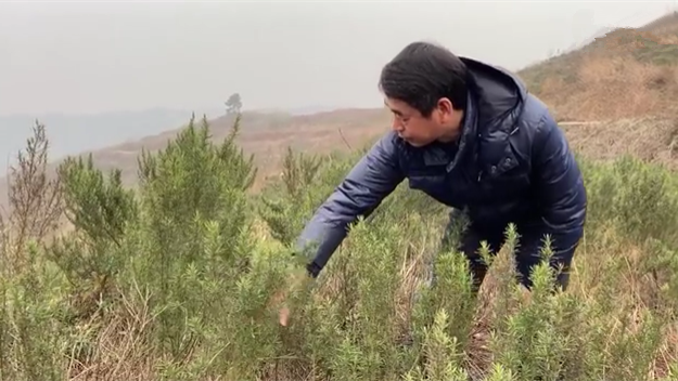 新春走基層｜脫貧后，駐村扶貧隊(duì)長在干啥？