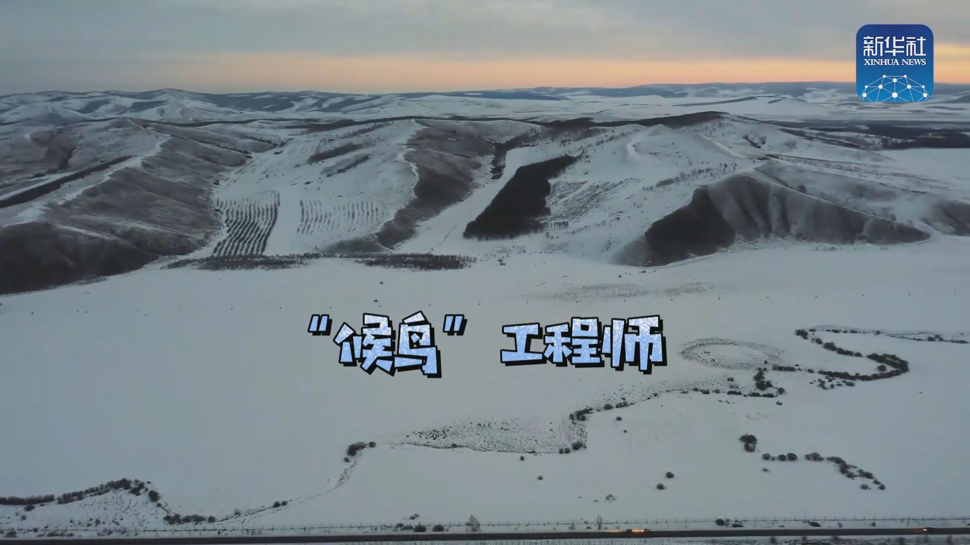 我們在奔跑丨一路向北！他是逆行的“候鳥”