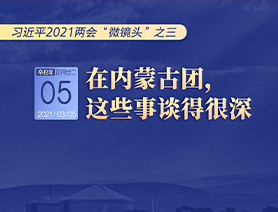 習近平2021兩會“微鏡頭”之三 3月5日 在內(nèi)蒙古團，這些事談得很深