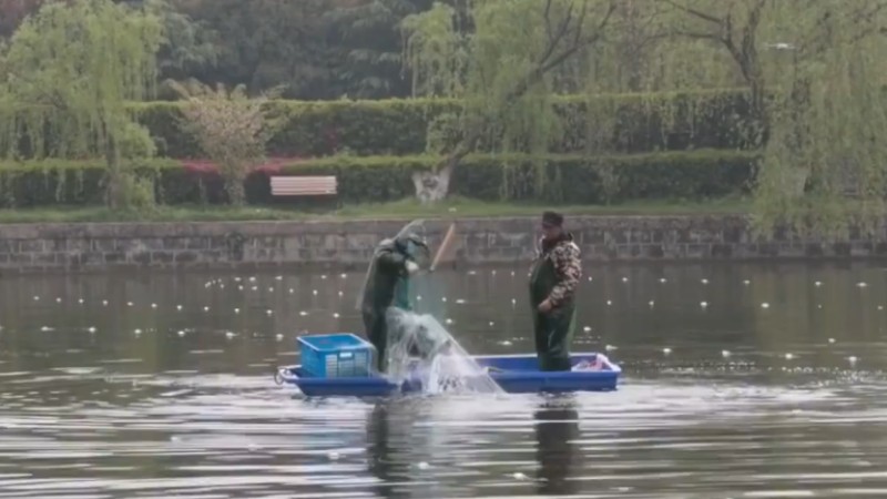 別人家的學(xué)校！安師大請(qǐng)師生吃一萬(wàn)斤魚(yú)