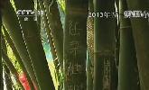 “五一”去哪？：快樂(lè)出行 文明旅游
