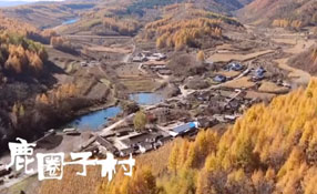探秘關(guān)東人家，畫(huà)一個(gè)童話里的秋天