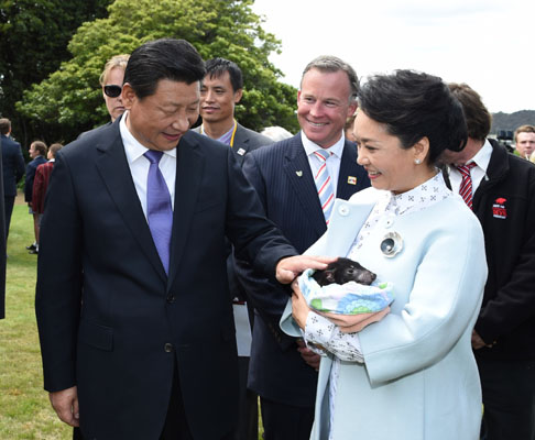 11月18日，國(guó)家主席習(xí)近平在澳大利亞塔斯馬尼亞州與朗塞斯頓市斯科奇－歐克伯恩小學(xué)的小學(xué)生共同植樹。這是習(xí)近平和夫人彭麗媛植樹后撫摸袋獾。新華社記者 馬占成 攝
