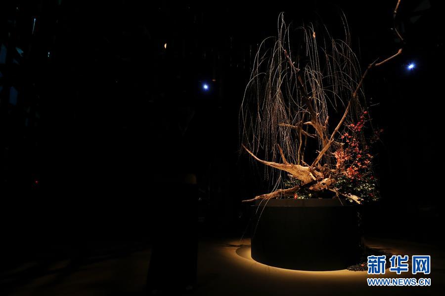 （國(guó)際）（5）日本東京：寒冬時(shí)節(jié)賞&ldquo;繁花&rdquo; 