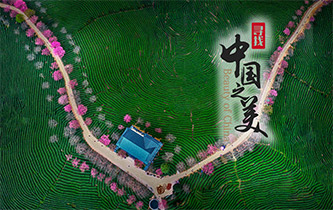 江山如畫，想把春的故事講給你聽